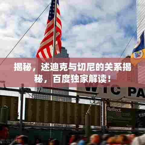 揭秘,述迪克与切尼的关系揭秘,百度独家解读!