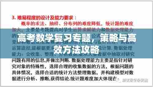 高考数学复习专题,策略与高效方法攻略