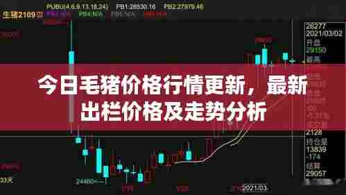 今日毛猪价格行情更新，最新出栏价格及走势分析