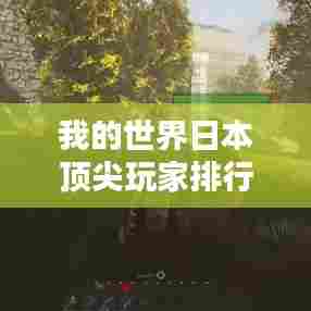 我的世界日本顶尖玩家排行榜TOP未知