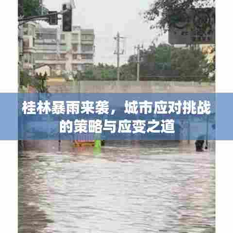 桂林暴雨来袭,城市应对挑战的策略与应变之道