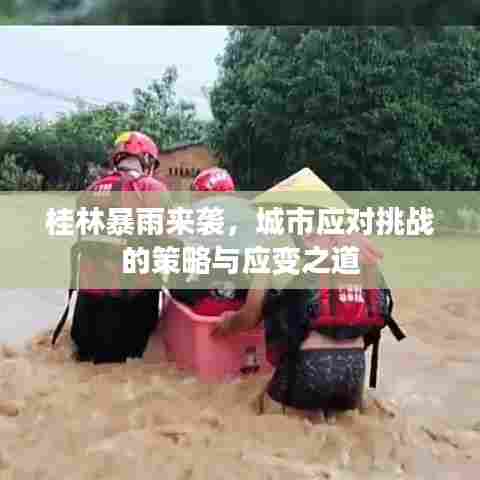 桂林暴雨来袭,城市应对挑战的策略与应变之道
