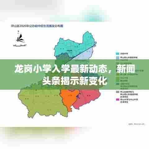 龙岗小学入学最新动态,新闻头条揭示新变化