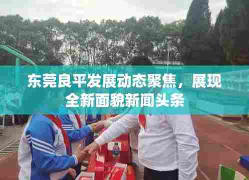 东莞良平发展动态聚焦，展现全新面貌新闻头条