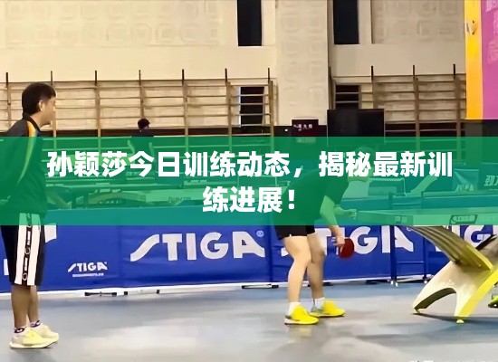 孙颖莎今日训练动态,揭秘最新训练进展!