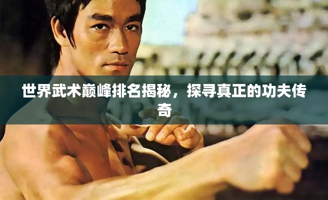 世界武术巅峰排名揭秘,探寻真正的功夫传奇
