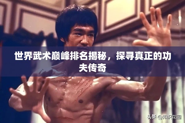 世界武术巅峰排名揭秘,探寻真正的功夫传奇