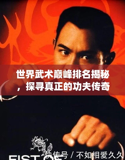 世界武术巅峰排名揭秘,探寻真正的功夫传奇