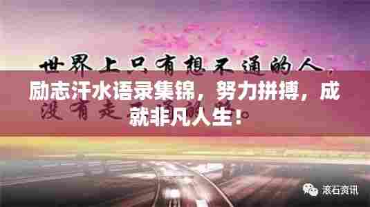 励志汗水语录集锦，努力拼搏，成就非凡人生！