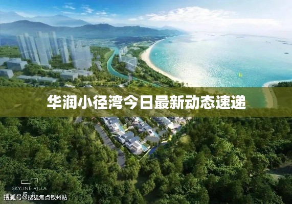 华润小径湾今日最新动态速递
