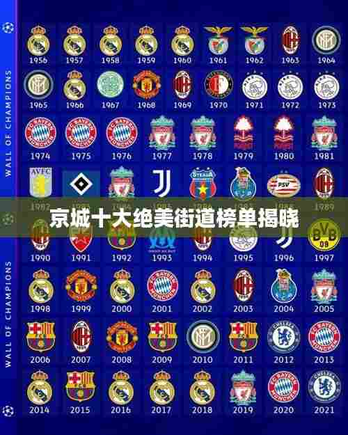 京城十大绝美街道榜单揭晓