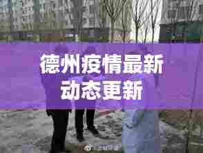 德州疫情最新动态更新
