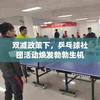 双减政策下,乒乓球社团活动焕发勃勃生机