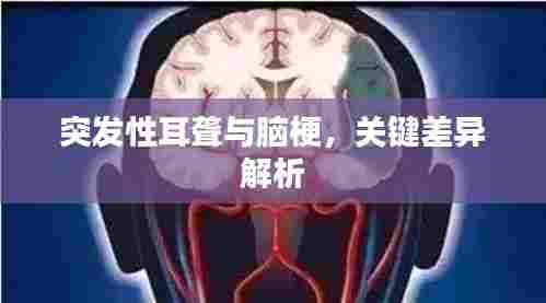 突发性耳聋与脑梗，关键差异解析