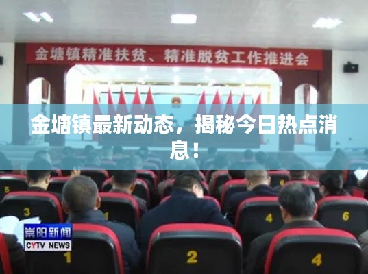 金塘镇最新动态，揭秘今日热点消息！