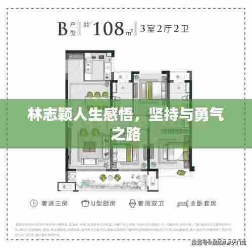 林志颖人生感悟，坚持与勇气之路