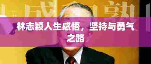 林志颖人生感悟,坚持与勇气之路