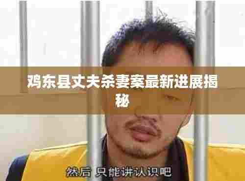 鸡东县丈夫杀妻案最新进展揭秘