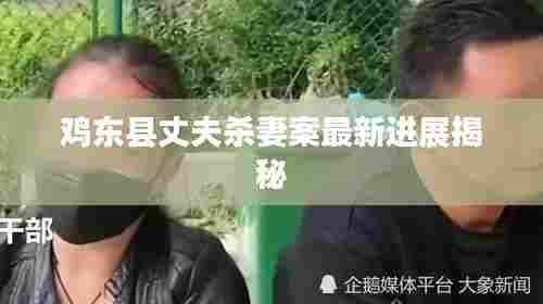 鸡东县丈夫杀妻案最新进展揭秘