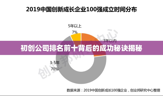 初创公司排名前十背后的成功秘诀揭秘