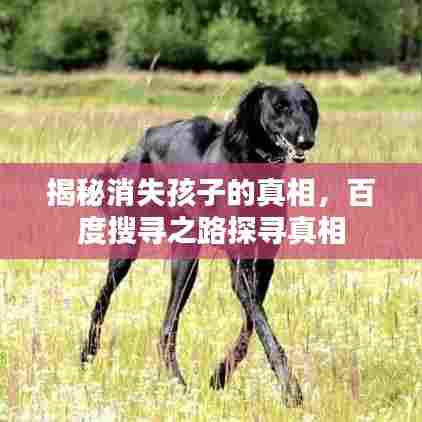 揭秘消失孩子的真相,百度搜寻之路探寻真相