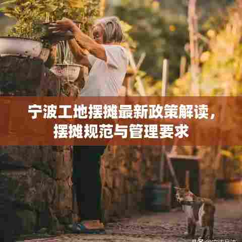 宁波工地摆摊最新政策解读,摆摊规范与管理要求