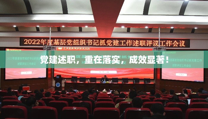 党建述职,重在落实,成效显著!