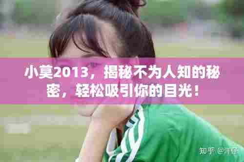 小莫2013，揭秘不为人知的秘密，轻松吸引你的目光！