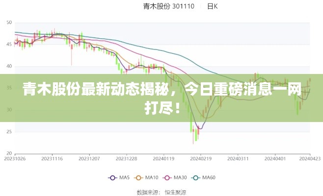 青木股份最新动态揭秘,今日重磅消息一网打尽!