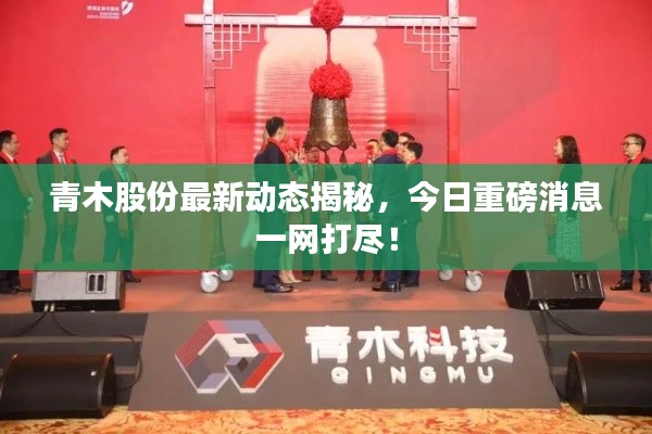 青木股份最新动态揭秘,今日重磅消息一网打尽!