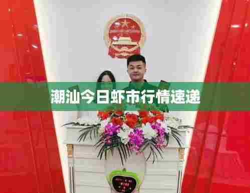 潮汕今日虾市行情速递