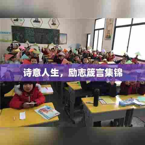 诗意人生，励志箴言集锦