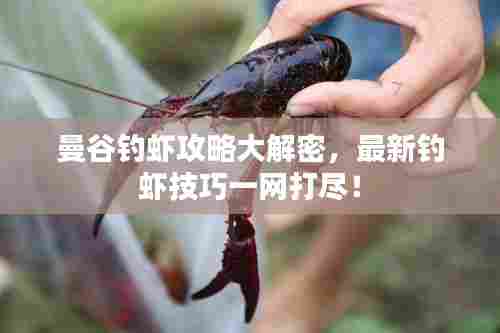 曼谷钓虾攻略大解密,最新钓虾技巧一网打尽!