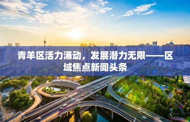 青羊区活力涌动,发展潜力无限——区域焦点新闻头条