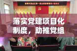 落实党建项目化制度，助推党组织建设迈上新台阶