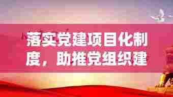 落实党建项目化制度,助推党组织建设迈上新台阶