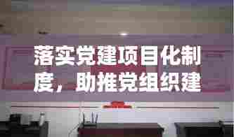 落实党建项目化制度,助推党组织建设迈上新台阶