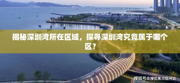 揭秘深圳湾所在区域,探寻深圳湾究竟属于哪个区?