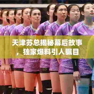 天津苏总揭秘幕后故事,独家爆料引人瞩目