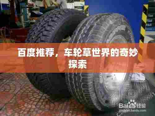 百度推荐，车轮草世界的奇妙探索