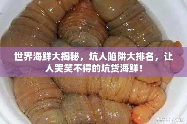 世界海鲜大揭秘,坑人陷阱大排名,让人哭笑不得的坑货海鲜!