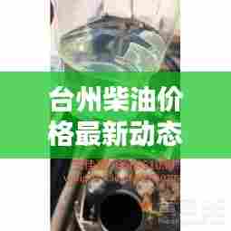 台州柴油价格最新动态及分析报告