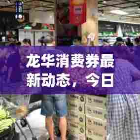 龙华消费券最新动态,今日消息全解析