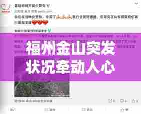 福州金山突发状况牵动人心，紧急事件引发广泛关注
