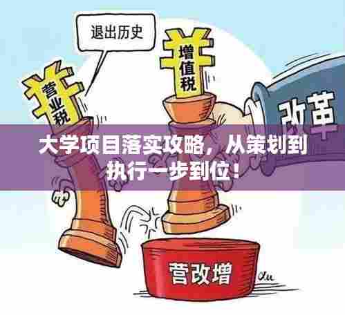 大学项目落实攻略,从策划到执行一步到位!