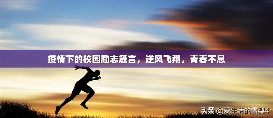 铁石心肠 第6页