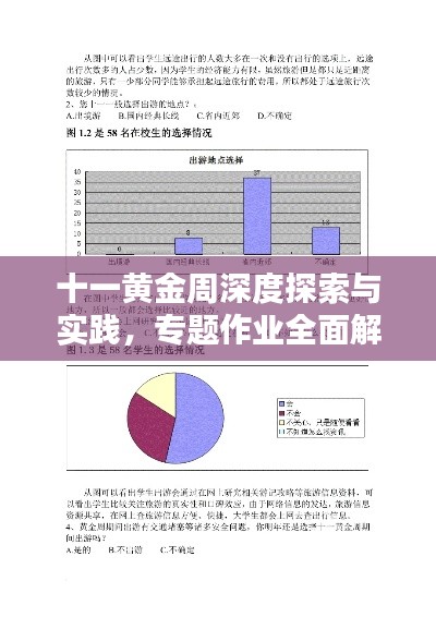 十一黄金周深度探索与实践,专题作业全面解析