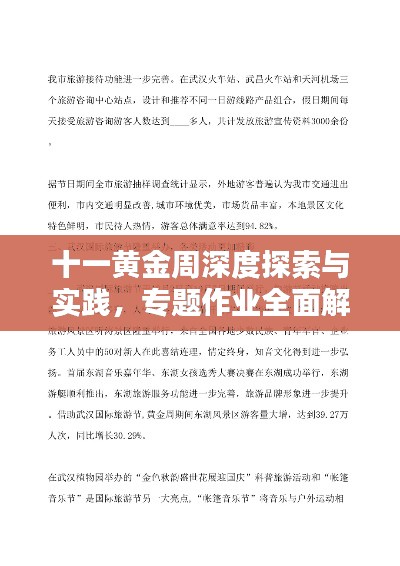 十一黄金周深度探索与实践,专题作业全面解析