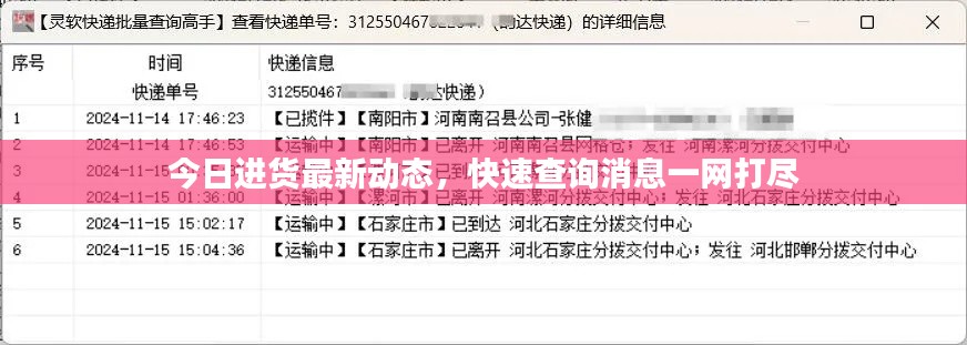 今日进货最新动态,快速查询消息一网打尽