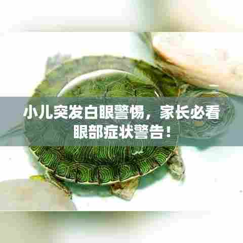 纲举目张 第5页